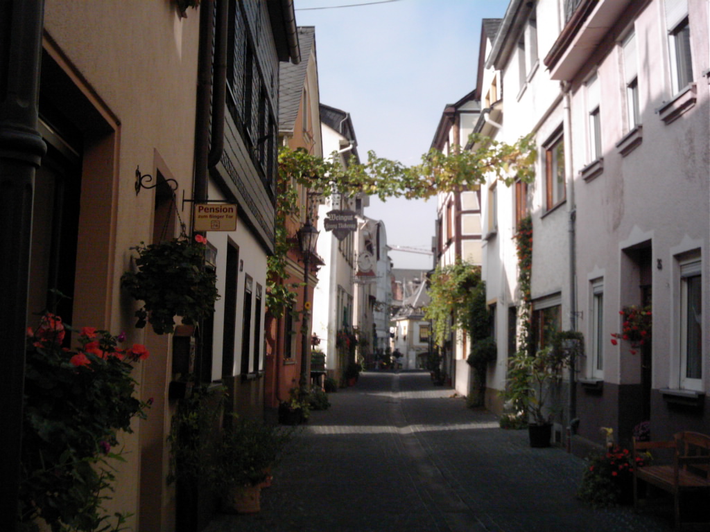 DSCI0023.JPG