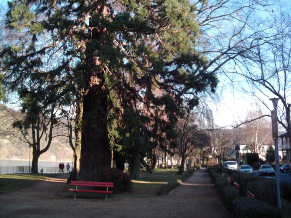 DSCI0029.JPG