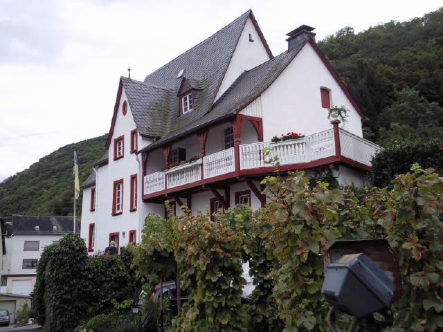 Foto1265.jpg