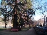 DSCI0029.JPG